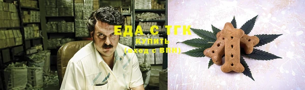 шишки Абаза