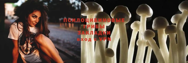 шишки Абаза