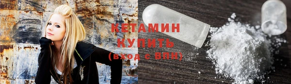 шишки Абаза