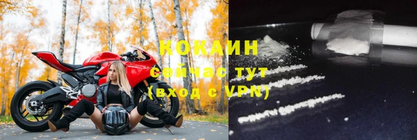 шишки Абаза