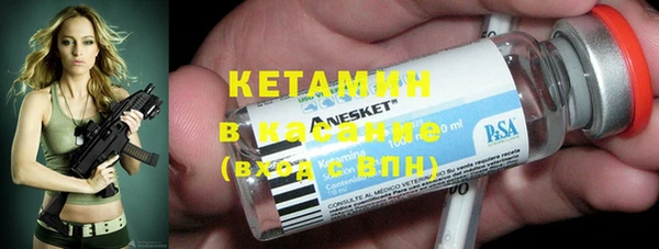 шишки Абаза